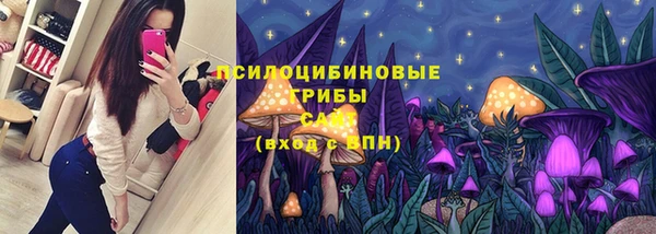 герыч Тихвин